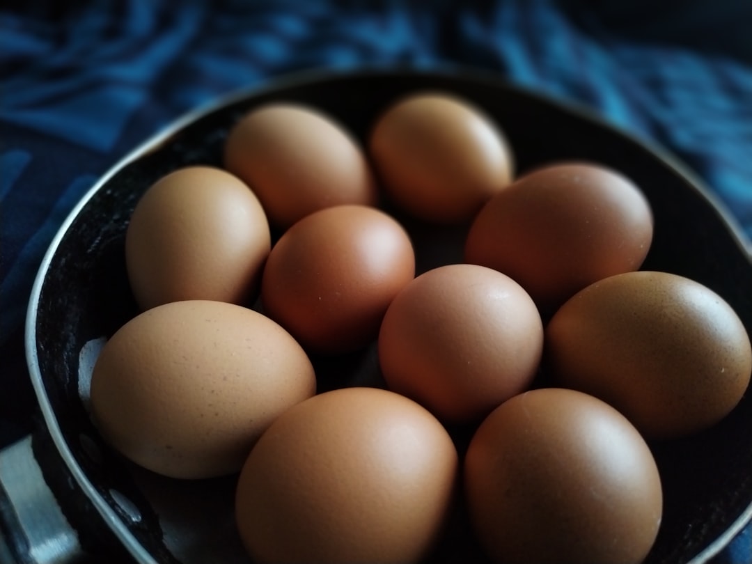 How Much Protein Do I Need As a Beginner UK Fitness Enthusiast