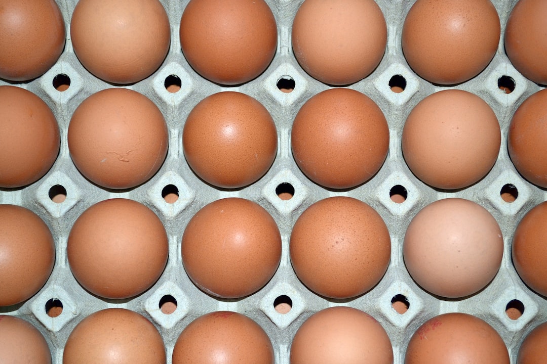 How to Eat Enough Protein on a Budget UK Beginner Guide