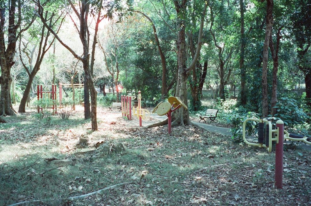 How to Do Pull Ups as a Complete Beginner UK: Step-by-Step Guide